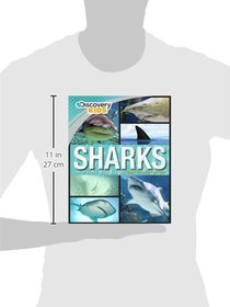 Sharks (Discovery Kids)