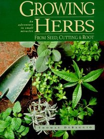 Growing Herbs from Seed, Cutting  Root: An Adventure in Small Miracles