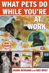 What Pets Do While You're at Work