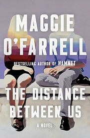 The Distance Between Us: A Novel
