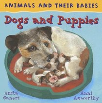 Dogs and Puppies (Animals and Their Babies)