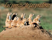 Los Perritos de las Praderas / Prairie Dogs (Animales Presa / Animal Prey) (Spanish Edition)