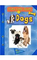 Dogs (Raintree Perspectives: Animal Family Albums)