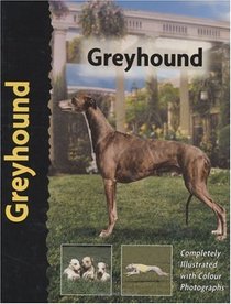Greyhound (Pet love)