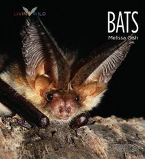 Bats (Living Wild)