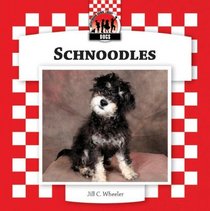 Schnoodles (Designer Dogs Set 7)