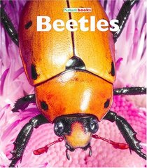 Beetles (Naturebooks)