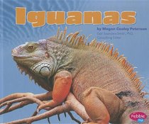 Iguanas (Pebble Plus: Reptiles)