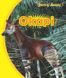 Okapi (Unusual Animals)