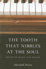 The Tooth That Nibbles at the Soul: Essays on Music and Poetry (Literary Conjugations)