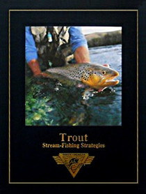 Trout Stream Fishing Strategies