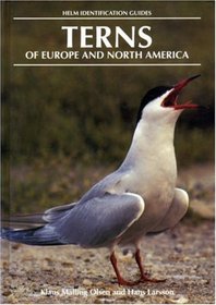 Terns of Europe and North America (Helm Identification Guides)