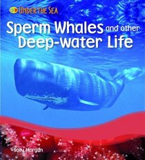 Sperm Whales and Other Deep Water Life (Under the Sea)