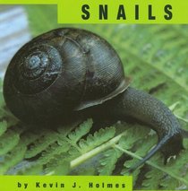 Snails (Animals)