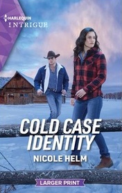 Cold Case Identity (Hudson Sibling Solutions, Bk 2) (Harlequin Intrigue, No 2193) (Larger Print)