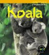 Koala (Animals in Danger)