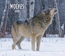 Wolves 2008 Deluxe Wall Calendar (Multilingual Edition)