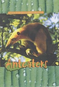 Animals of the Rainforest: Anteaters (Animals of the Rainforest)