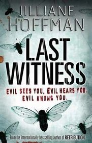 Last Witness (Large Print)