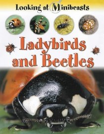 Ladybirds and Beetles (Looking at Minibeasts)