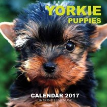 Yorkie Puppies Calendar 2017: 16 Month Calendar