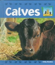 Calves (Baby Animals)