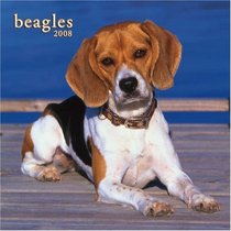 Beagles 2008 Square Wall Calendar (German, French, Spanish and English Edition)