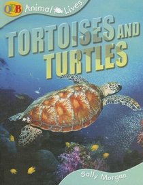 Animal Lives Tortoises and Turtles (Qeb Animal Lives)