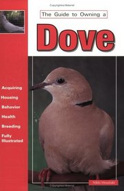 The Guide to Owning a Dove