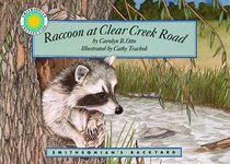 Raccoon at Clear Creek