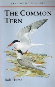 The Common Tern (Philip's Species Guides)