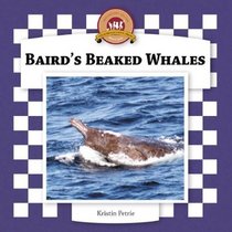 Baird's Beaked Whales (Whales Set II)