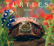 Turtles 2008 (Calendar)