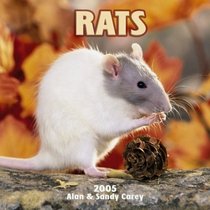 Rats 2005 Wall Calendar