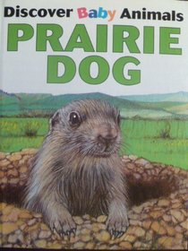 Prairie Dog (Discover Baby Animals)