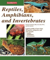 Reptiles, Amphibians, and Invertebrates: An Identification and Care Guide (Reptile Keepers Guide)