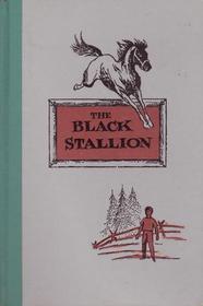 The Black Stallion (Junior Deluxe Edition)