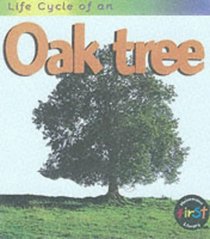 Life Cycle of an Oak Tree (Life Cycle of a...)