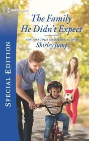 The Family He Didn't Expect (Stone Gap Inn, Bk 1) (Harlequin Special Edition, No 2703)