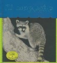 El Mapache / Raccons (Heinemann Lee Y Aprende/Heinemann Read and Learn (Spanish)) (Spanish Edition)