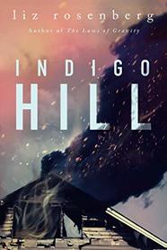 Indigo Hill: A Novel