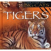 Tigers (Eye to Eye With Big Cats)