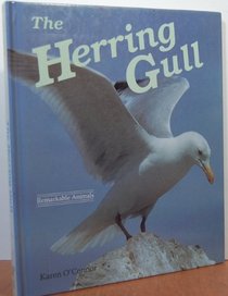 Herring Gull (Dillon Remarkable Animals Book)
