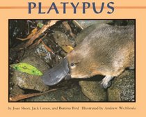 Platypus (Mondo Animals)