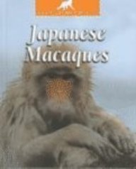 Japanese Macaques (The Untamed World)