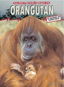 Orangutan (Animals Under Threat)