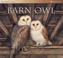 Barn Owl (Animal Lives)