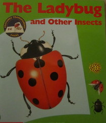 The Ladybug and Other Insects