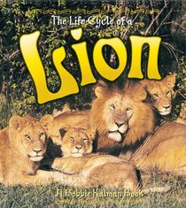 The Life Cycle of a Lion (Life Cycle)