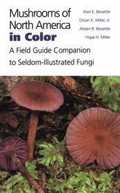 Mushrooms of North America in Color: A Field Guide Companion to Seldom-Illustrated Fungi